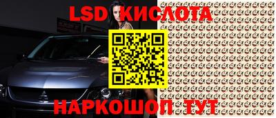 гидропоника Рузаевка
