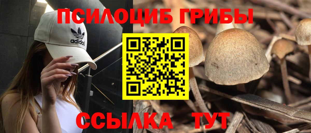 Галлюциногенные грибы ЛСД  Вход с VPN  Артёмовский  Галлюциногенные грибы Psilocybe 